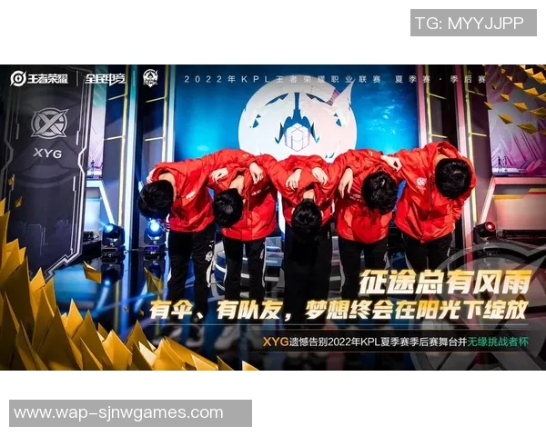 探秘王者荣耀WE战队个人能力的独特魅力与竞技表现