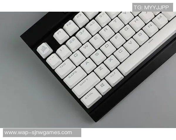 和平精英战术IG防守体系解析S15赛季电竞策略与技巧分享